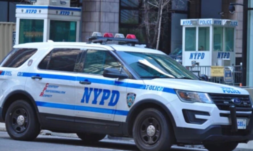 بين المهنية والانحراف